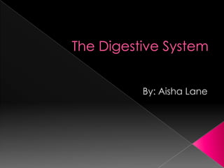 The Digestive System By: Aisha Lane 