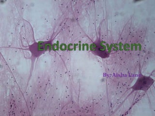 Endocrine System By: Aisha Lane 