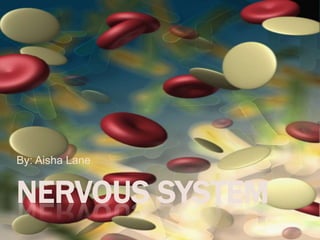 Nervous System By: Aisha Lane 