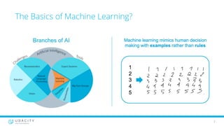 Bridging the AI Skills Gap | PDF