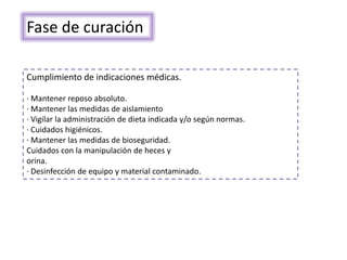 Cumplimiento de indicaciones médicas.
· Mantener reposo absoluto.
· Mantener las medidas de aislamiento
· Vigilar la administración de dieta indicada y/o según normas.
· Cuidados higiénicos.
· Mantener las medidas de bioseguridad.
Cuidados con la manipulación de heces y
orina.
· Desinfección de equipo y material contaminado.
Fase de curación
 