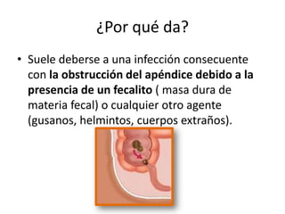 ¿Por qué da?
• Suele deberse a una infección consecuente
con la obstrucción del apéndice debido a la
presencia de un fecalito ( masa dura de
materia fecal) o cualquier otro agente
(gusanos, helmintos, cuerpos extraños).
 