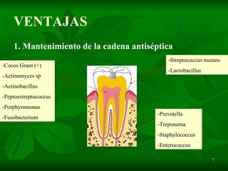 VENTAJAS 1. Mantenimiento de la cadena antiséptica -Streptococcus mutans -Lactobacillus -Cocos Gram (+) -Actinomyces sp -Actinobacillus -Peptoestreptococcus -Porphyromonas -Fusobacterium -Prevotella -Treponema -Staphylococcus -Enterococcus 