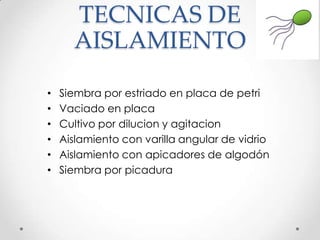 TECNICAS DE
AISLAMIENTO
•
•
•
•
•
•
Siembra por estriado en placa de petri
Vaciado en placa
Cultivo por dilucion y agitacion
Aislamiento con varilla angular de vidrio
Aislamiento con apicadores de algodón
Siembra por picadura