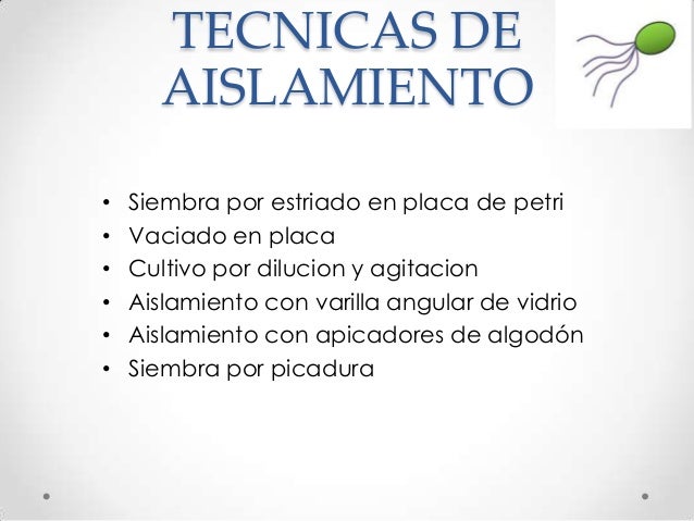 Aislamiento Bacteriano