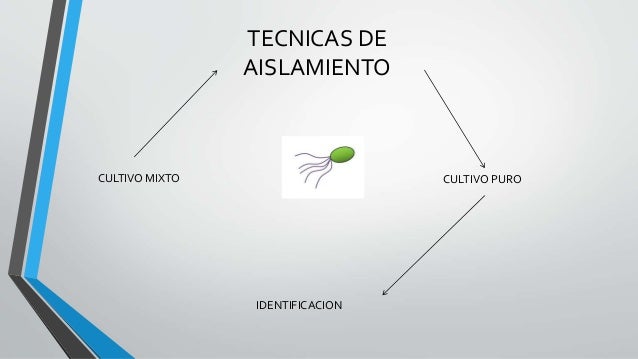 Aislamiento bacteriano 07_11_2014