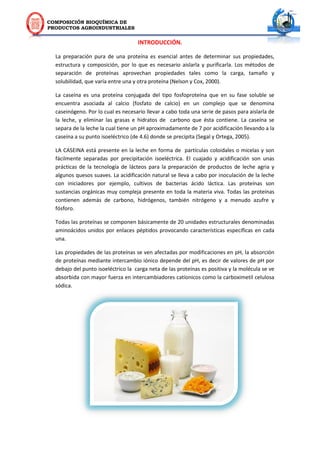 COMPOSICIÓN BIOQUÍMICA DE
PRODUCTOS AGROINDUSTRIALES
INTRODUCCIÓN.
La preparación pura de una proteína es esencial antes de determinar sus propiedades,
estructura y composición, por lo que es necesario aislarla y purificarla. Los métodos de
separación de proteínas aprovechan propiedades tales como la carga, tamaño y
solubilidad, que varía entre una y otra proteína (Nelson y Cox, 2000).
La caseína es una proteína conjugada del tipo fosfoproteína que en su fase soluble se
encuentra asociada al calcio (fosfato de calcio) en un complejo que se denomina
caseinógeno. Por lo cual es necesario llevar a cabo toda una serie de pasos para aislarla de
la leche, y eliminar las grasas e hidratos de carbono que ésta contiene. La caseína se
separa de la leche la cual tiene un pH aproximadamente de 7 por acidificación llevando a la
caseína a su punto isoeléctrico (de 4.6) donde se precipita (Segal y Ortega, 2005).
LA CASEINA está presente en la leche en forma de partículas coloidales o micelas y son
fácilmente separadas por precipitación isoeléctrica. El cuajado y acidificación son unas
prácticas de la tecnología de lácteos para la preparación de productos de leche agria y
algunos quesos suaves. La acidificación natural se lleva a cabo por inoculación de la leche
con iniciadores por ejemplo, cultivos de bacterias ácido láctica. Las proteínas son
sustancias orgánicas muy compleja presente en toda la materia viva. Todas las proteínas
contienen además de carbono, hidrógenos, también nitrógeno y a menudo azufre y
fósforo.
Todas las proteínas se componen básicamente de 20 unidades estructurales denominadas
aminoácidos unidos por enlaces péptidos provocando características específicas en cada
una.
Las propiedades de las proteínas se ven afectadas por modificaciones en pH, la absorción
de proteínas mediante intercambio iónico depende del pH, es decir de valores de pH por
debajo del punto isoeléctrico la carga neta de las proteínas es positiva y la molécula se ve
absorbida con mayor fuerza en intercambiadores catíonicos como la carboximetil celulosa
sódica.
 