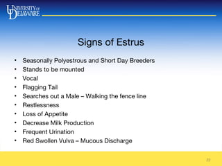 Signs of Estrus
• Seasonally Polyestrous and Short Day Breeders
• Stands to be mounted
• Vocal
• Flagging Tail
• Searches out a Male – Walking the fence line
• Restlessness
• Loss of Appetite
• Decrease Milk Production
• Frequent Urination
• Red Swollen Vulva – Mucous Discharge
22
 