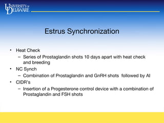 Estrus Synchronization
• Heat Check
– Series of Prostaglandin shots 10 days apart with heat check
and breeding
• NC Synch
– Combination of Prostaglandin and GnRH shots followed by AI
• CIDR’s
– Insertion of a Progesterone control device with a combination of
Prostaglandin and FSH shots
 