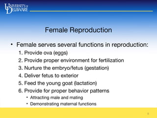 Female Reproduction
• Female serves several functions in reproduction:
1. Provide ova (eggs)
2. Provide proper environment for fertilization
3. Nurture the embryo/fetus (gestation)
4. Deliver fetus to exterior
5. Feed the young goat (lactation)
6. Provide for proper behavior patterns
• Attracting male and mating
• Demonstrating maternal functions
6
 