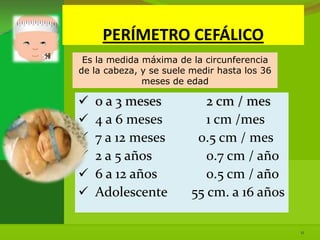 PERÍMETRO CEFÁLICO
 Es la medida máxima de la circunferencia
de la cabeza, y se suele medir hasta los 36
              meses de edad

   0 a 3 meses             2 cm / mes
   4 a 6 meses             1 cm /mes
   7 a 12 meses          0.5 cm / mes
   2 a 5 años              0.7 cm / año
   6 a 12 años             0.5 cm / año
   Adolescente          55 cm. a 16 años

                                              11
 
