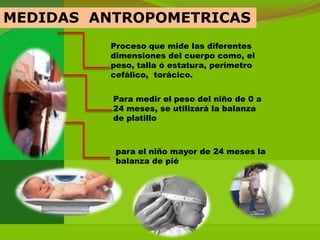 MEDIDAS ANTROPOMETRICAS
         Proceso que mide las diferentes
         dimensiones del cuerpo como, el
         peso, talla ó estatura, perímetro
         cefálico, torácico.


          Para medir el peso del niño de 0 a
          24 meses, se utilizará la balanza
          de platillo



          para el niño mayor de 24 meses la
          balanza de pié
 