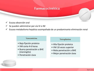  Escasa absorción oral
 Se pueden administrar por vía IV o IM
 Escaso metabolismo hepático acompañado de un predominante eliminación renal
Vancomicina
• Baja fijación proteica
• VM corta 4-6 horas
• Buena penetración a BHE
(meningitis)
• Penetración ósea
Teicoplanina
• Alta fijación proteica
• VM 10 veces superior
• Mala penetración a BHE
• Mejor penetración ósea
 
