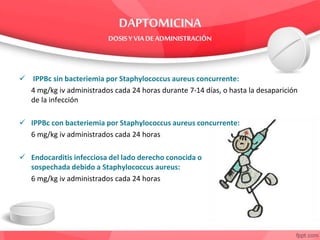  IPPBc sin bacteriemia por Staphylococcus aureus concurrente:
4 mg/kg iv administrados cada 24 horas durante 7-14 días, o hasta la desaparición
de la infección
 IPPBc con bacteriemia por Staphylococcus aureus concurrente:
6 mg/kg iv administrados cada 24 horas
 Endocarditis infecciosa del lado derecho conocida o
sospechada debido a Staphylococcus aureus:
6 mg/kg iv administrados cada 24 horas
 