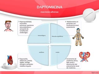 • Incremento de
creatinina sérica,
fallo renal o
disminución del
aclaramiento renal
de creatinina.
• Taquicardia,
sibilancias, pirexia,
rigidez, vértigo,
síncope y sensación
metálica al gusto
• Rabdomiolisis en
pacientes con
insuficiencia renal
preexistente
• Hipersensibilidad,
eosinofilia
pulmonar, exantema
vesiculobulloso y
sensación de
tumefacción
orofaríngea
Inmunológicas
Musculo-esqueléticas,
renalesanafilaxia
 