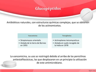 Antibióticos naturales, con estructuras químicas complejas, que se obtienen
de los actinomicetos.
La vancomicina, su uso se restringió debido al arribo de las penicilinas
antiestafilocócicas, las que desplazaron en un principio la utilización
de este antimicrobiano.
Vancomicina
• Streptomyces orientalis
• Aislada de la tierra de Borneo
en 1955
Teicoplanina
• Actinoplanes teicomyceticus
• Aislada en suelo recogido de
la India en 1978
 