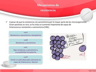  A pesar de que la resistencia a la vancomicina por la mayor parte de los microorganismos
Gram positivos es rara, se ha visto un aumento importante de cepas de
Enterococcus resistentes a vancomicina (VRE).
vanA
Resistencia a vancomicina y teicoplanina
vanB
Resistencia a vancomicina
vanC
Baja resistencia a vancomicina y
susceptibilidad teicoplanina
vanD
Similar al vanB observado solamente en
cepas de Enterococcus faecium
 