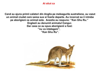Ai stiut ca



Cand au ajuns primii calatori din Anglia pe meleagurile australiene, au vazut
 un animal ciudat care sarea sus si foarte departe. Au incercat sa ii intrebe
    pe aborigieni ce animal este. Acestia au raspuns: ’’Kan Ghu Ru.’’
                   Englezii au denumit animalul Cangur.
                  Dar ceea ce au spus aborigienii a fost:
                            ’’nu va intelegem’’,
                               ’’Kan Ghu Ru’’.
 