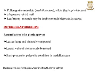 Pteridospermales (seed ferns),Aiswaria Raj,St.Mary’s College
 Pollen grains-monolete (medullosaceae), trilete (lyginopteridaceae)
 Megaspore –thick wall
 Leaf traces –mesarch may be double or multiple(medullosaceae)
INTERRELATIONSHIPS
Resemblances with pteridophytes
Leaves-large and pinnately compound
Lateral veins-dichotomously branched
Stem-protostele, polystelic condition in medullosaceae
 