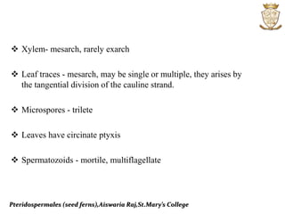 Pteridospermales (seed ferns),Aiswaria Raj,St.Mary’s College
 Xylem- mesarch, rarely exarch
 Leaf traces - mesarch, may be single or multiple, they arises by
the tangential division of the cauline strand.
 Microspores - trilete
 Leaves have circinate ptyxis
 Spermatozoids - mortile, multiflagellate
 