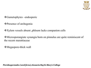 Pteridospermales (seed ferns),Aiswaria Raj,St.Mary’s College
Gametophytes –endosporic
Presence of archegonia
Xylem vessels absent ,phloem lacks companion cells
Microsporangiate synangia born on pinnulus are quite reminiscent of
the recent marattiaceae
Megaspore-thick wall
 