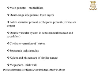 Pteridospermales (seed ferns),Aiswaria Raj,St.Mary’s College
Male gametes –multicilliate
Ovule-singe integument, three layers
Pollen chamber present ,archegonia present (female sex
organ)
Double vascular system in seeds (medullosaceae and
cycadales )
Circinate vernation of leaves
Sporangia lacks annulus
Xylem and phloem are of similar nature
Megaspore- thick wall
 