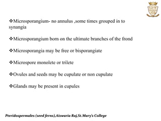 Pteridospermales (seed ferns),Aiswaria Raj,St.Mary’s College
Microsporangium- no annulus ,some times grouped in to
synangia
Microsporangium born on the ultimate branches of the frond
Microsporangia may be free or bisporangiate
Microspore monolete or trilete
Ovules and seeds may be cupulate or non cupulate
Glands may be present in cupules
 