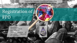 Registration of
FPO
Centre for Aquatic Livelihood Jaljeevika
Submitted by
Aiswarya Santhosh
Student Intern
National Academy of
Agriculture Research
Management
 
