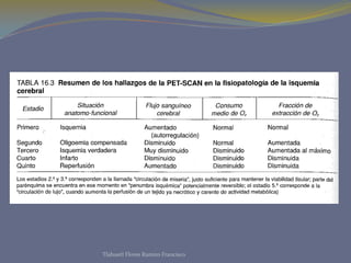 Tlahuetl Flores Ramiro Francisco
 