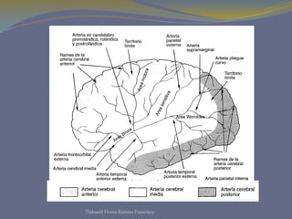 Tlahuetl Flores Ramiro Francisco
 
