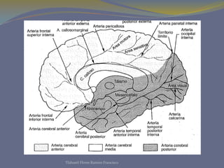 Tlahuetl Flores Ramiro Francisco
 