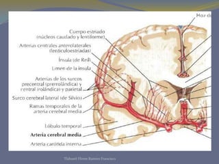 Tlahuetl Flores Ramiro Francisco
 
