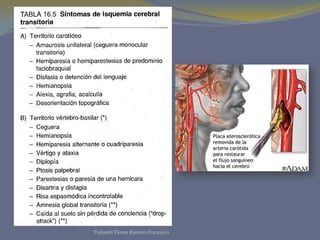 Tlahuetl Flores Ramiro Francisco
 