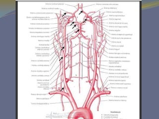 Tlahuetl Flores Ramiro Francisco
 