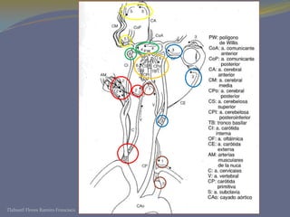 Tlahuetl Flores Ramiro Francisco
 