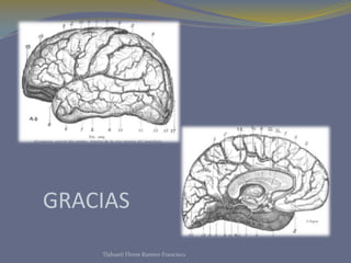 GRACIAS
Tlahuetl Flores Ramiro Francisco
 