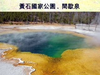 黃石國家公園 .  間歇泉 