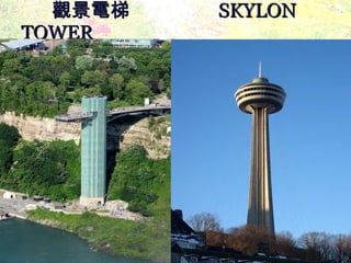觀景電梯  SKYLON TOWER 