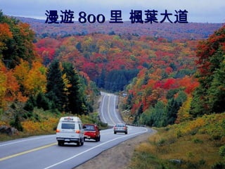 漫遊 800 里 楓葉大道 