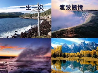 一生一次  雅致楓情 