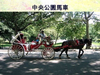中央公園馬車 