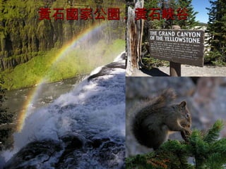 黃石國家公園 .  黃石峽谷 