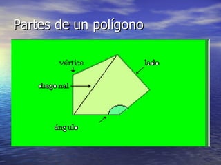 Partes de un polígono
 