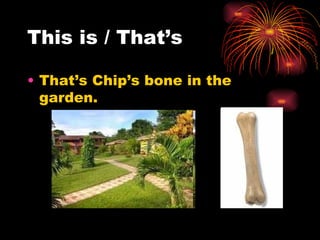 This is / That’s

• That’s Chip’s bone in the
  garden.
 