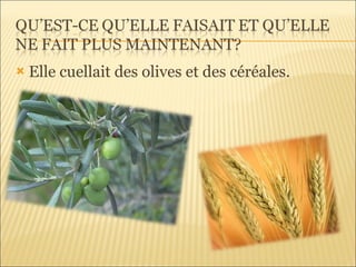 Elle cuellait des olives et des céréales. 