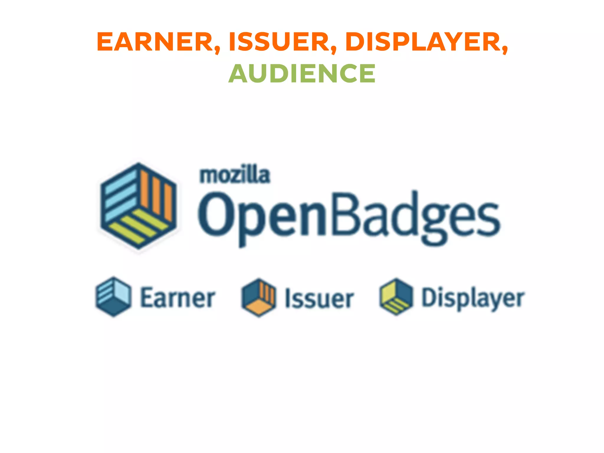 EARNER, ISSUER, DISPLAYER,
AUDIENCE
 