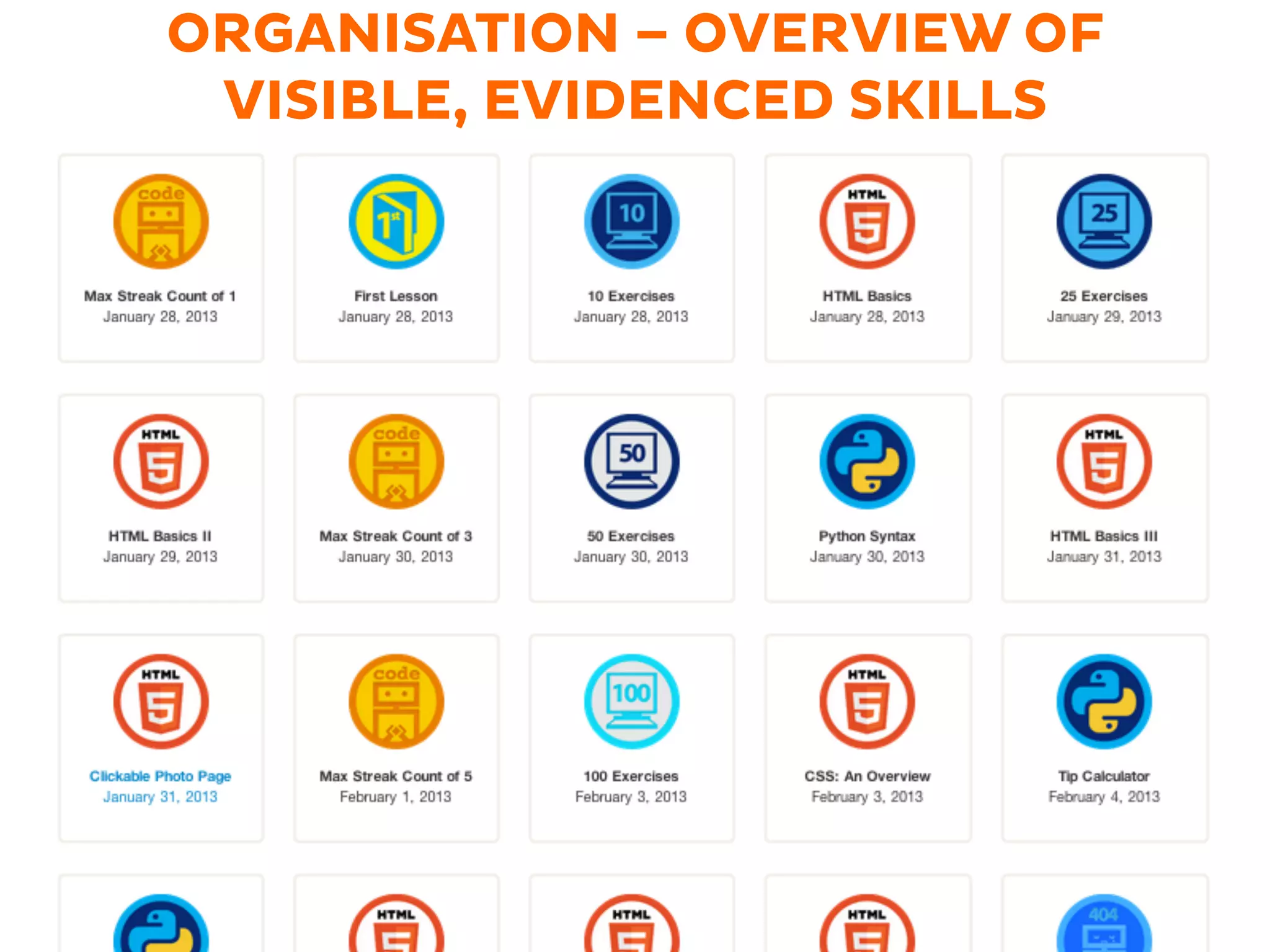 ORGANISATION – OVERVIEW OF
VISIBLE, EVIDENCED SKILLS
 