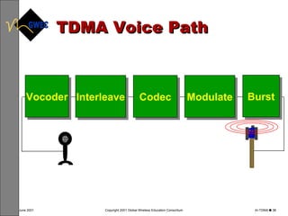 TDMA Voice Path Codec Interleave Vocoder Modulate Burst 
