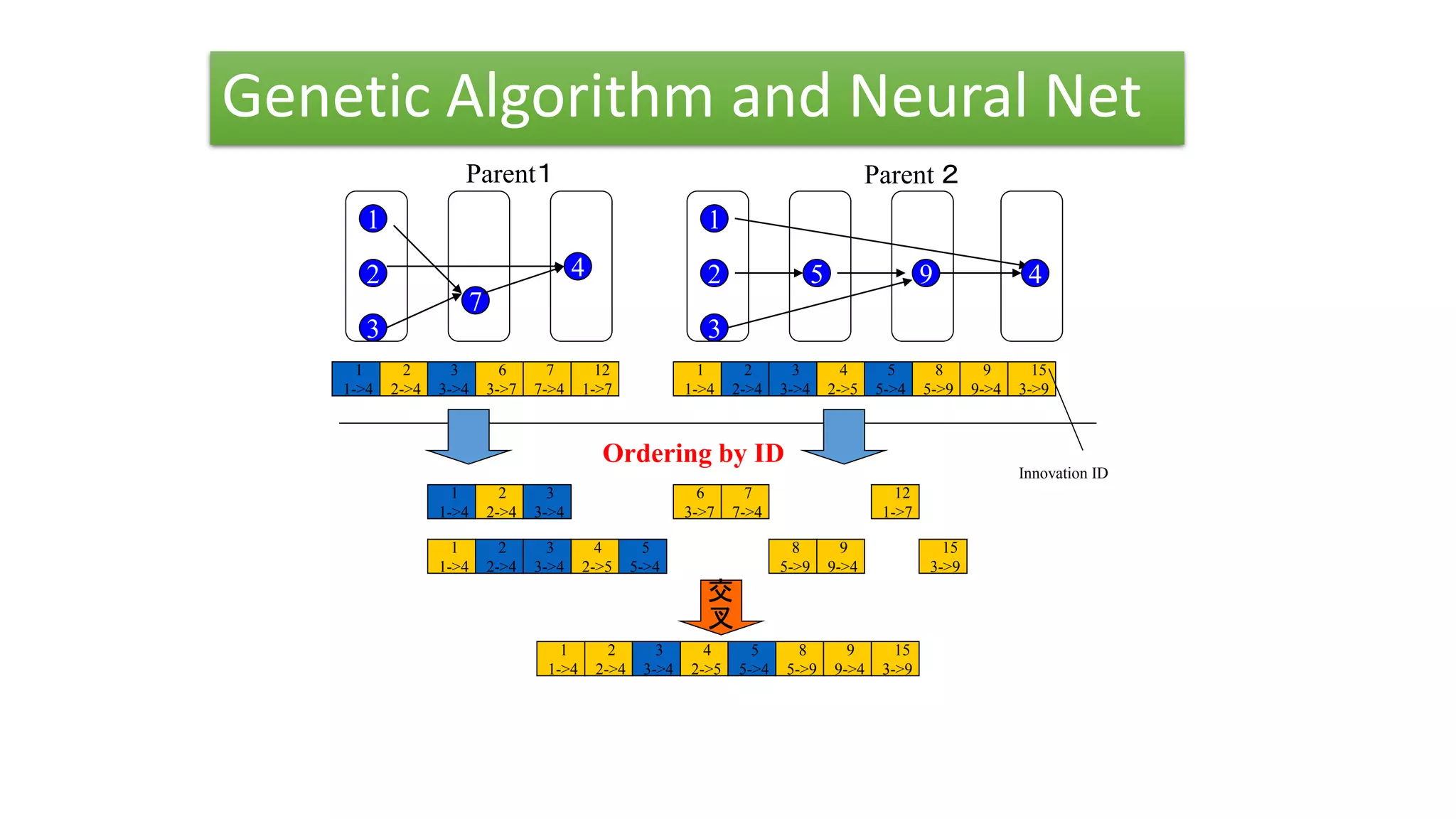 Genetic Algorithm and Neural Net
Parent１
2
1
7
3
4
1
1->4
2
2->4
3
3->4
6
3->7
7
7->4
12
1->7
1
1->4
2
2->4
3
3->4
4
2->5
5
5->4
8
5->9
9
9->4
15
3->9
Parent ２
2
1
3
95 4
Innovation ID
Ordering by ID
1
1->4
2
2->4
3
3->4
1
1->4
2
2->4
3
3->4
4
2->5
5
5->4
6
3->7
7
7->4
8
5->9
9
9->4
12
1->7
15
3->9
交
叉
4
2->5
5
5->4
8
5->9
9
9->4
15
3->9
1
1->4
2
2->4
3
3->4
 