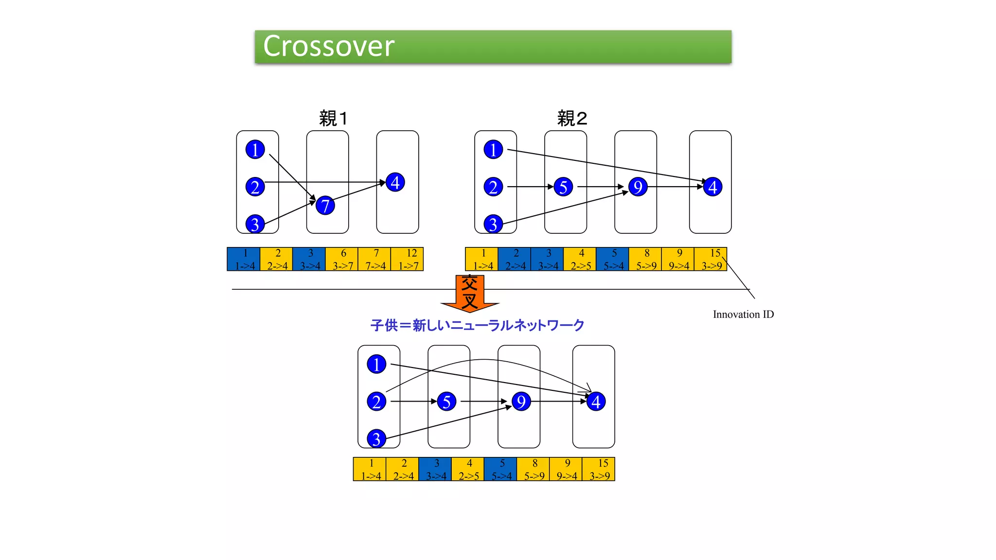 Crossover
親１
2
1
7
3
4
1
1->4
2
2->4
3
3->4
6
3->7
7
7->4
12
1->7
1
1->4
2
2->4
3
3->4
4
2->5
5
5->4
8
5->9
9
9->4
15
3->9
親２
2
1
3
95 4
Innovation ID
交
叉
2
1
3
95 4
4
2->5
5
5->4
8
5->9
9
9->4
15
3->9
1
1->4
2
2->4
3
3->4
子供＝新しいニューラルネットワーク
 
